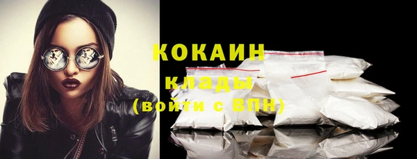 дживик Аркадак