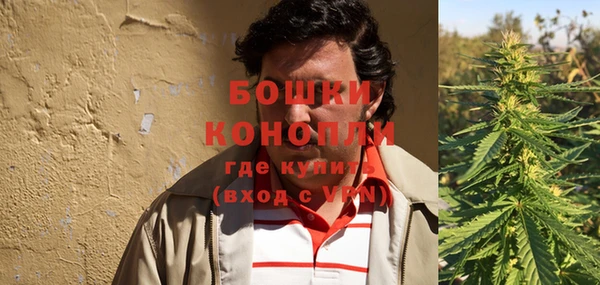 дживик Аркадак