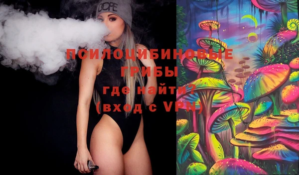 дживик Аркадак