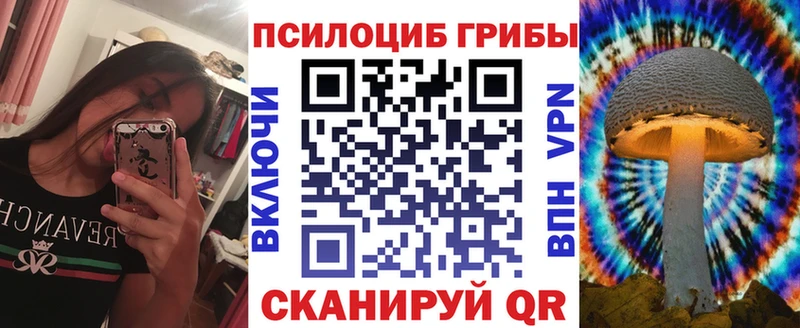 где купить   OMG ССЫЛКА  Галлюциногенные грибы мухоморы  Байкальск 